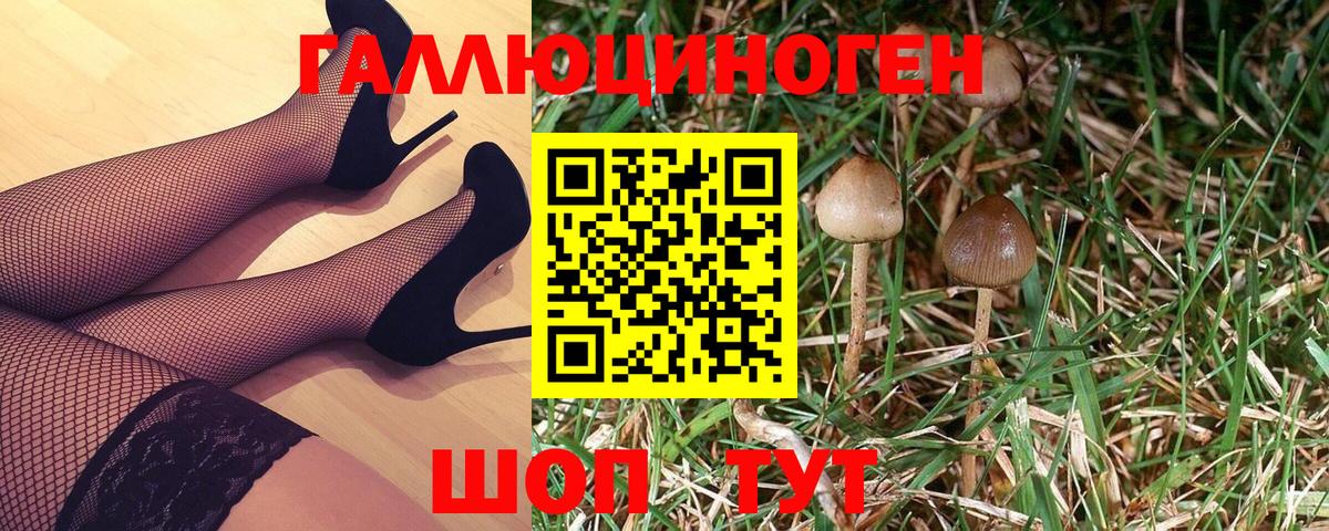 Псилоцибиновые грибы GOLDEN TEACHER Ликино-Дулёво